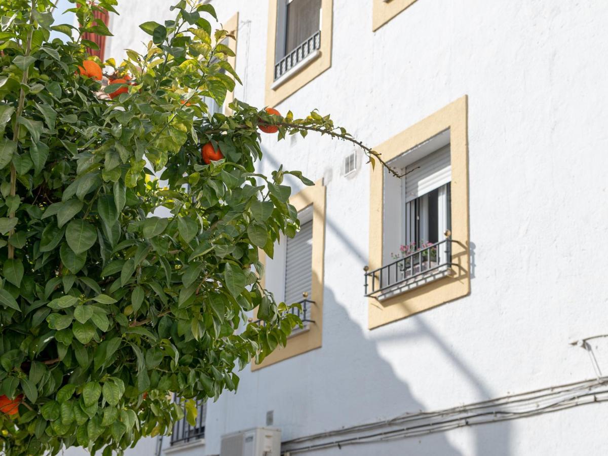 Nayber Gavia - Nuevo Y Centrico Apartamento En Cordoba Exterior photo